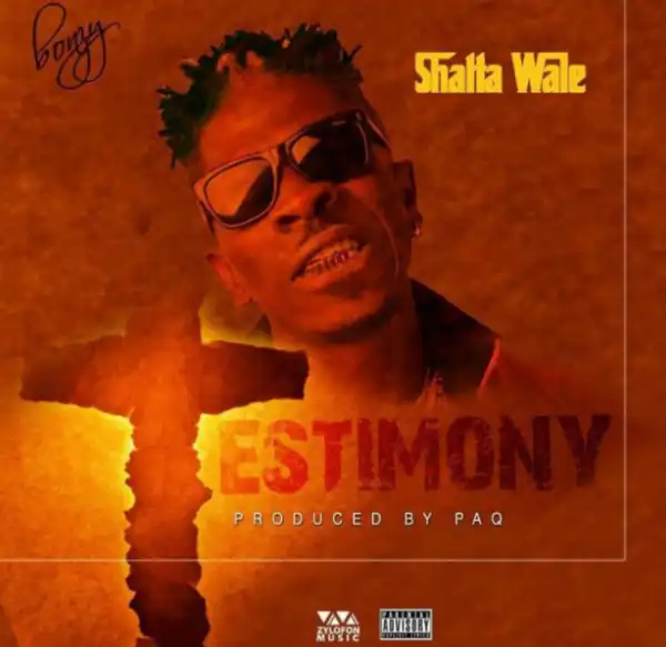 Shatta Wale - Testimony
